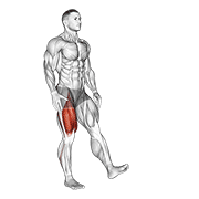 single leg squat (pistol) male animación