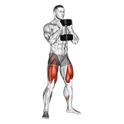 dumbbell goblet squat animación