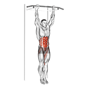 hanging leg hip raise animación