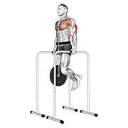 weighted triceps dip on high parallel bars animación