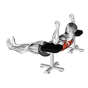 elbow lift - reverse push-up animación