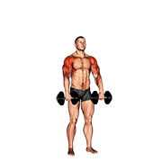 dumbbell cuban press v. 2 animación