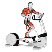 walk elliptical cross trainer animación