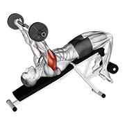 ez barbell decline triceps extension animación
