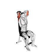 dumbbell seated triceps extension animación