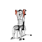 dumbbells seated triceps extension animación