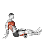 roller seated shoulder flexor depresor retractor animación