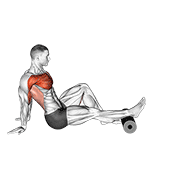roller seated single leg shoulder flexor depresor retractor animación
