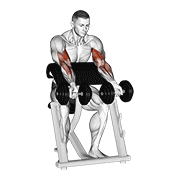 dumbbell zottman preacher curl animación