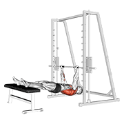 inverted row on bench animación