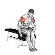 dumbbell seated bent arm lateral raise animación