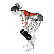 dumbbell reverse grip row (female) animación
