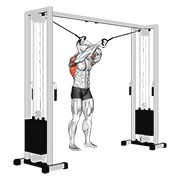 cable lat pulldown full range of motion animación