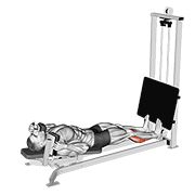sled lying calf press animación