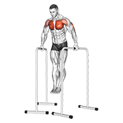 wide-grip chest dip on high parallel bars animación