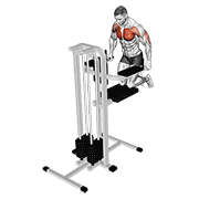 assisted wide-grip chest dip (kneeling) animación