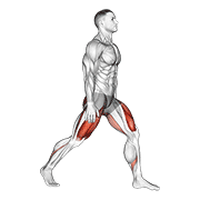 split squats animación