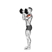 dumbbell scott press animación