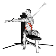 cable seated twist animación