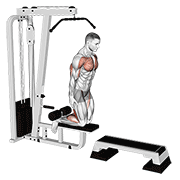 inverse leg curl (on pull-up cable machine) animación