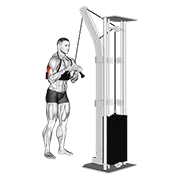 cable triceps pushdown (v-bar) (with arm blaster) animación