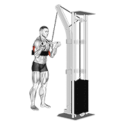 cable reverse grip triceps pushdown (sz-bar) (with arm blaster) animación