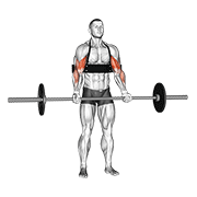 barbell biceps curl (with arm blaster) animación