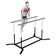 chest dip on straight bar animación