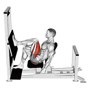 lever horizontal one leg press animación