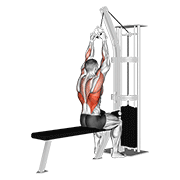 cable lateral pulldown with v-bar animación