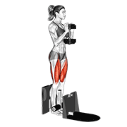 dumbbell supported squat animación