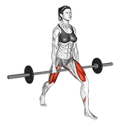 barbell split squat v. 2 animación