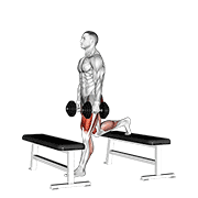 dumbbell step-up split squat animación