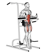 captains chair straight leg raise animación