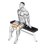 resistance band seated hip abduction animación