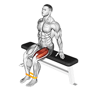 resistance band leg extension animación