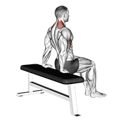 scapula dips animación