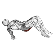low glute bridge on floor animación