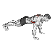 scapula push-up animación