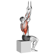 band fixed back underhand pulldown animación
