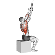 band fixed back close grip pulldown animación
