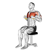 resistance band seated chest press animación