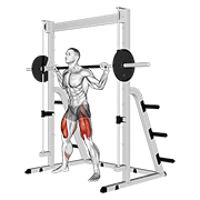 smith sumo squat animación