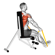 resistance band seated straight back row animación