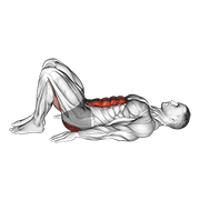 pelvic tilt animación