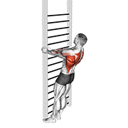 bodyweight standing close-grip row animación