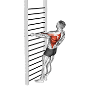 bodyweight standing one arm row animación