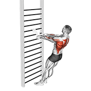 bodyweight standing row (with towel) animación
