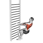 bodyweight squatting row (with towel) animación