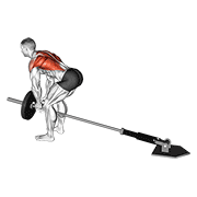 lever bent-over row with v-bar animación